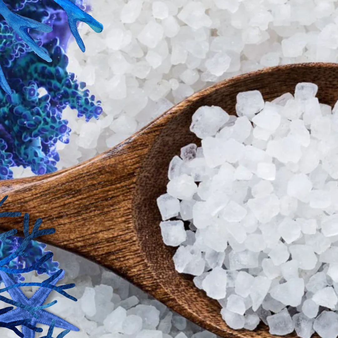 Blue Coral & Sea Salt (Wax Melts x 10)