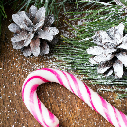 Christmas - Pine & Peppermint (Gift Box of 10 Wax Melts)